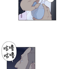 第226頁圖