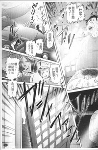 第146頁圖