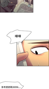 第294頁圖