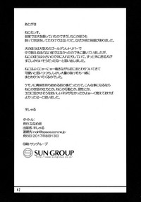 第42頁圖