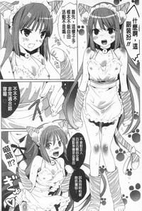 第138頁圖