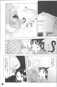 第178頁圖
