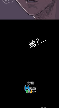 第594頁圖