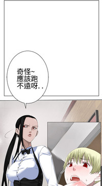 第406頁圖