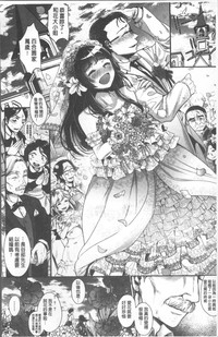 第210頁圖