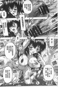 第42頁圖