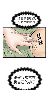 第242頁圖