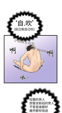 第262頁圖