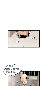 第274頁圖