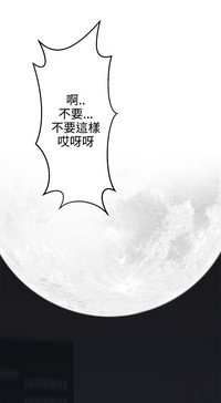 第658頁圖