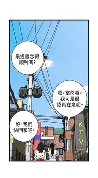 第382頁圖