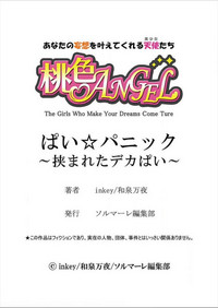 第26頁圖