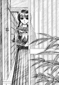 第46頁圖