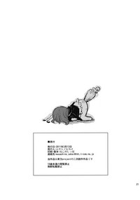 第22頁圖
