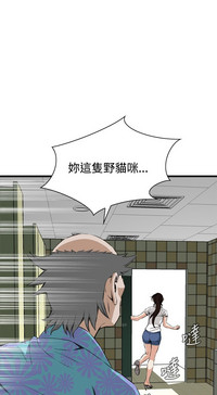 第378頁圖