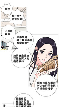第202頁圖