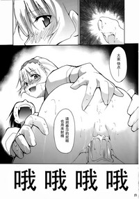 第22页图