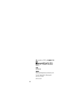 第26頁圖