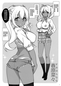 第2页图