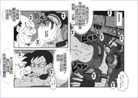 第218頁圖