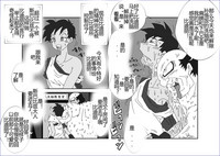 第242頁圖