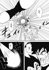 第338頁圖