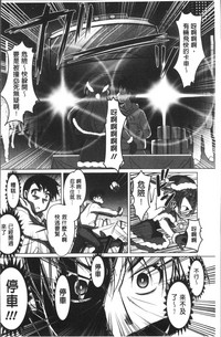 第142頁圖