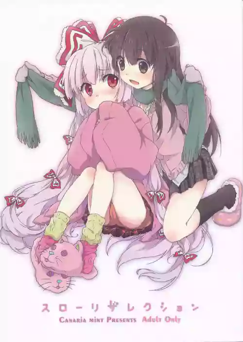 スローリザレクション圖