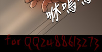 第250頁圖