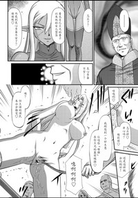 第206頁圖