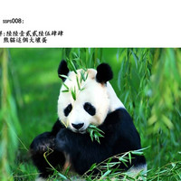 第34頁圖