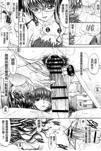 第142頁圖
