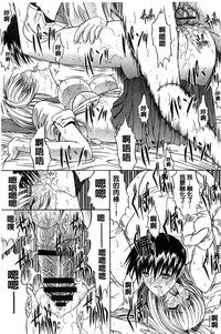 第146頁圖