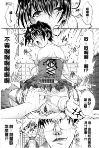 第282頁圖