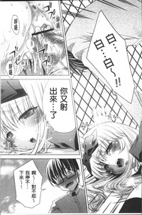 第78頁圖