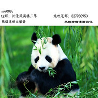 第14页图