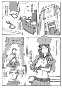 第2页图