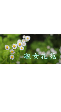 第350頁圖