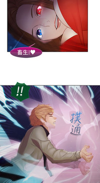 第510頁圖
