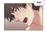 第282页图