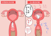 第86頁圖