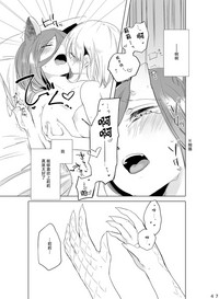 第46頁圖