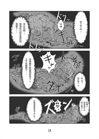 第14页图