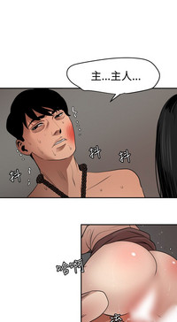 第214頁圖