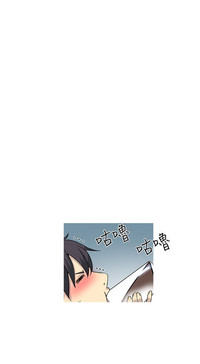 第242頁圖