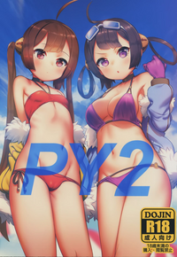 第2頁圖