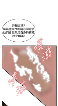 第382页图