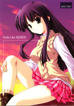 Feels like HEAVEN图