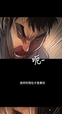 第334頁圖