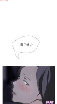 第510頁圖